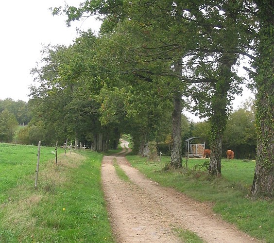 Circuit du Pont Colombier