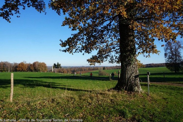 A la découverte de Beyssenac