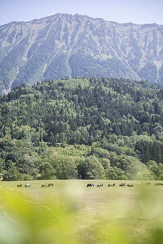 Marche nordique #3 Faverges-Seythenex - Les balcons des Combes_Faverges-Seythenex