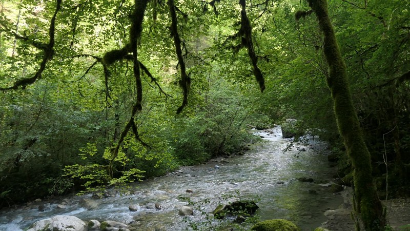 Handi'spot #5 Chevaline - La boucle du cheval_Faverges-Seythenex