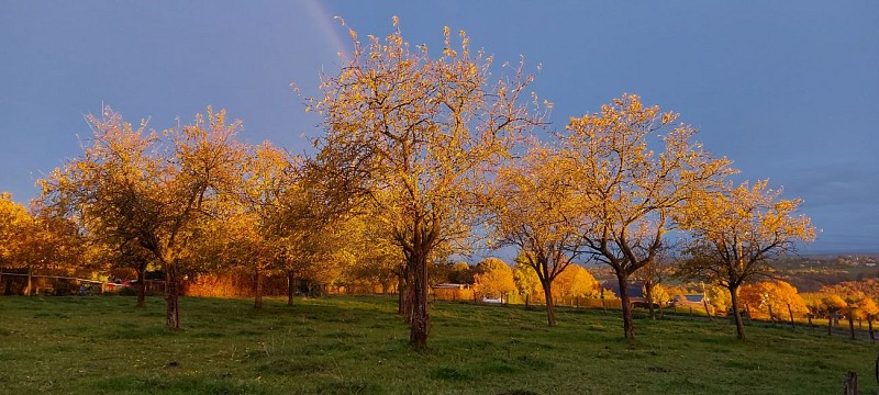 FL23 – A la découverte de Fléron