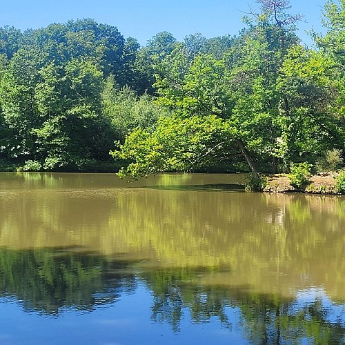 Les mares de Vilpert