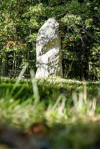 Menhir et Arboretum du bois des Brosses_Menat