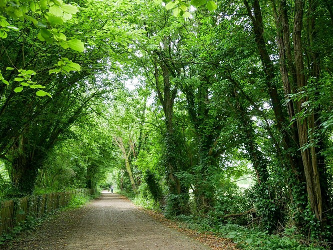 Lumbres - Rémilly-Wirquin