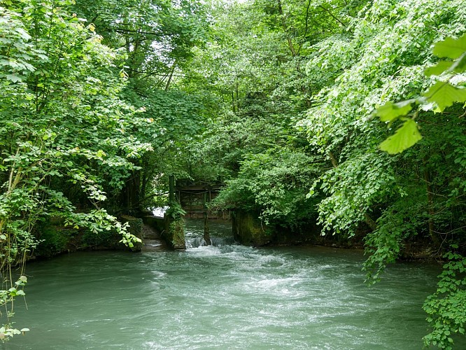 Lumbres - Rémilly-Wirquin