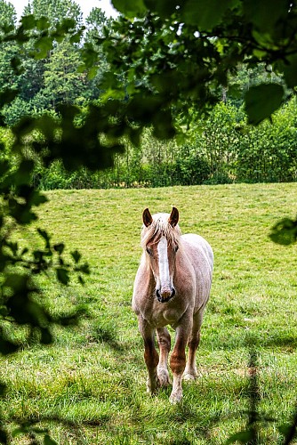 Lumbres - Rémilly-Wirquin