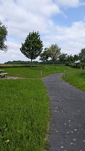 Voie verte Saulty-Dainville