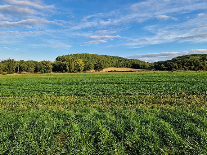 Lac et coteaux du Lizet