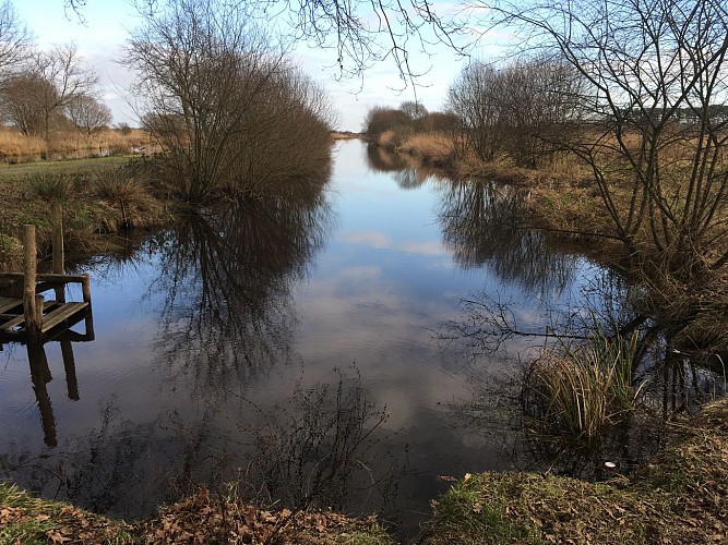 Entre Mès et Brière, d’un marais à l’autre - Saint-Lyphard