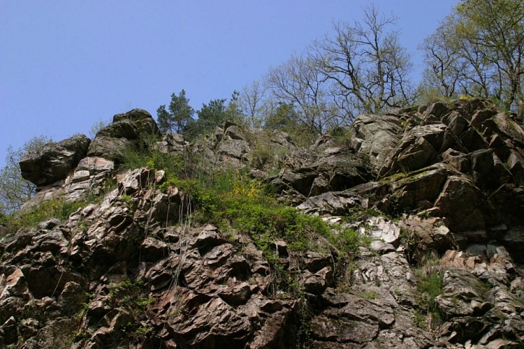 Circuit Pédestre N°48 : "A travers la Perrière"