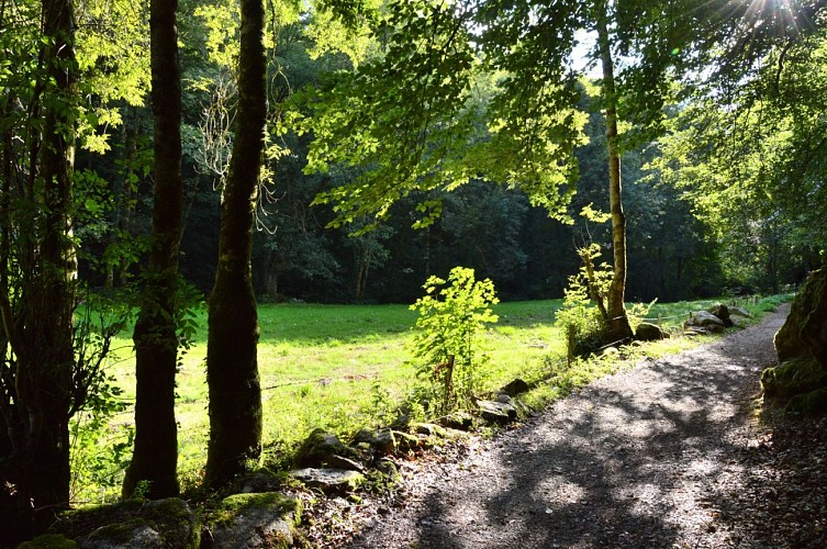 Circuit Pédestre N°42 : "Les gorges du Verger"