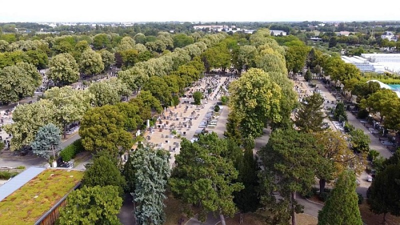cimetière central Mulhouse