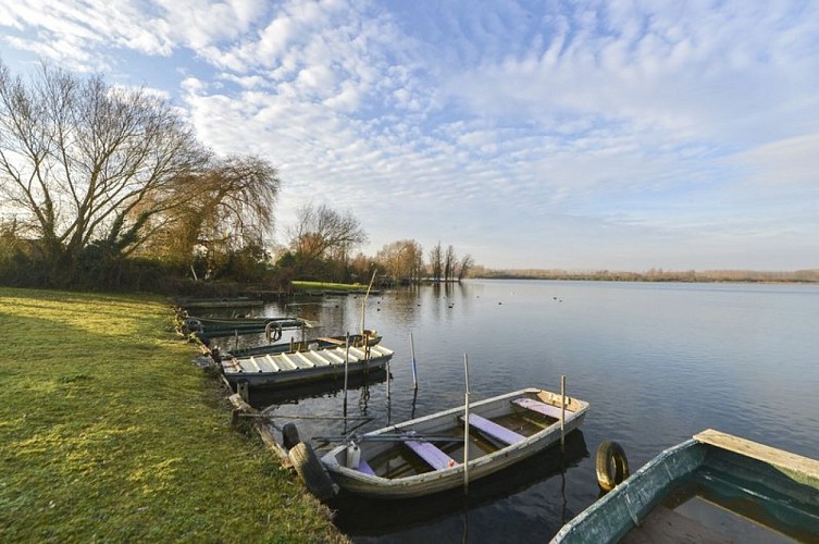 Le marais de Palluel