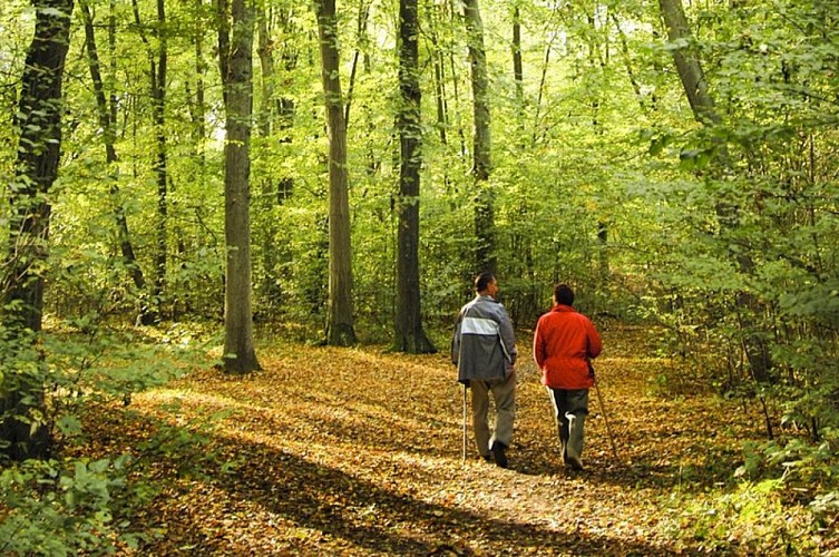 GR 145 Via Francigena