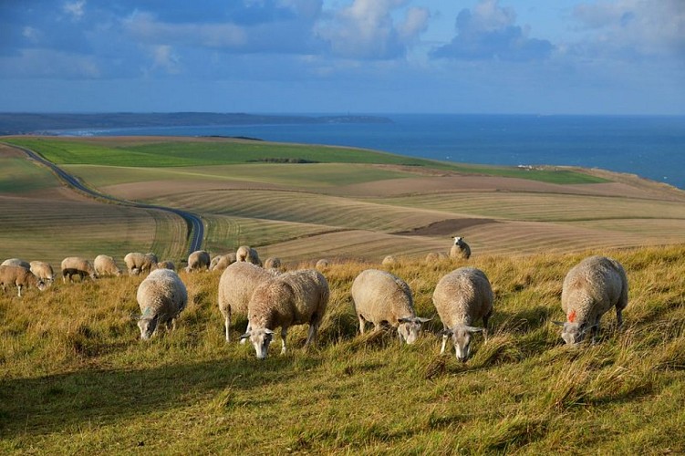 GRP Tour du Boulonnais