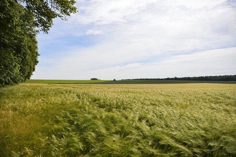 GRP Tour of North Ternois