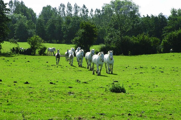 La Fontaine aux Charmes
