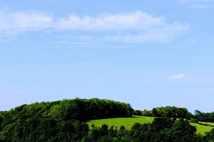 La Fontaine aux Faux