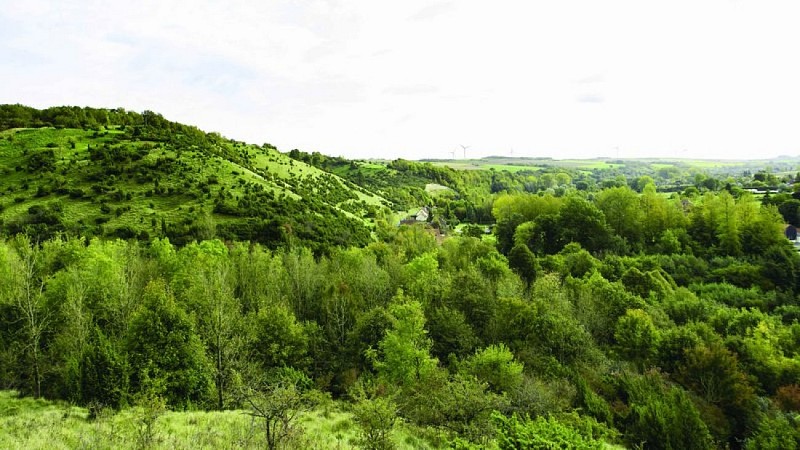 Les Coteaux de l'Aa