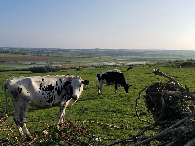 Le Sentier des Tourelles