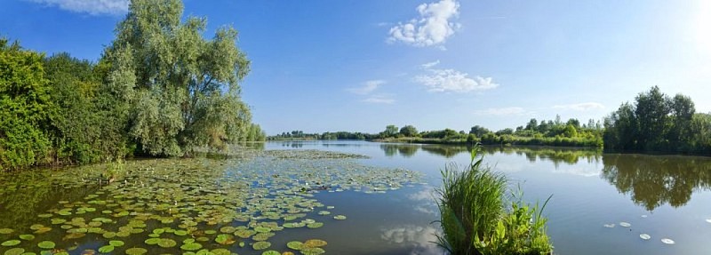 Réserve Naturel Nationale des Etangs du Romelaëre