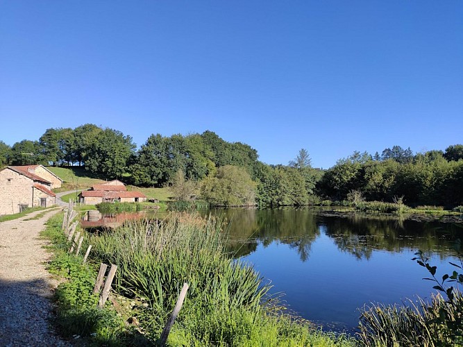 Sainte-Anne-Saint-Priest - Étang de Villevaleix - Pays Monts et Barrages - Aurélien CLAVREUL (2)