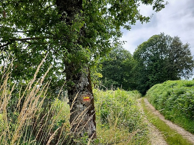 Balisage dans le chemin de la Veytisou (Neuvic-Entier)