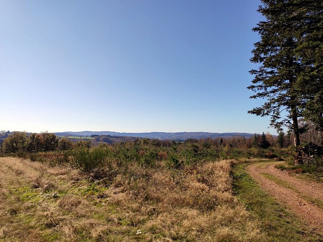 Vue sur le massif de Chateauneuf (Neuvic-Entier)
