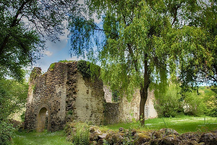 Les Gorges de Saint-Aubert