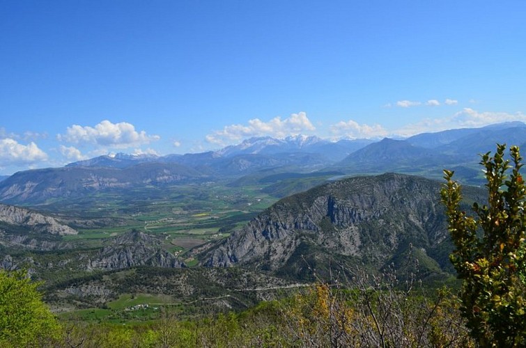 La vallée du Buëch