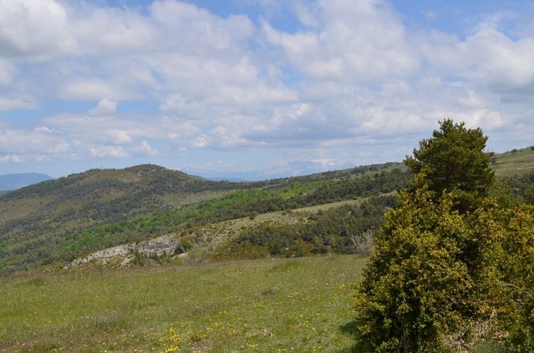 Crête de la montagne de Chabre