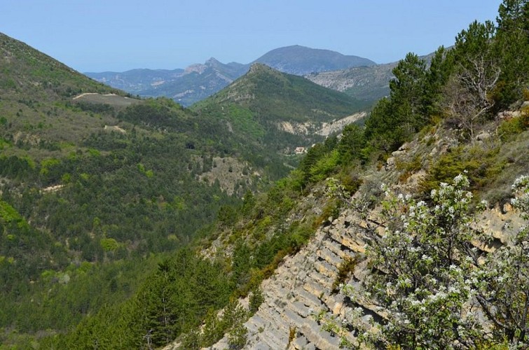 La Montagne des Tunes