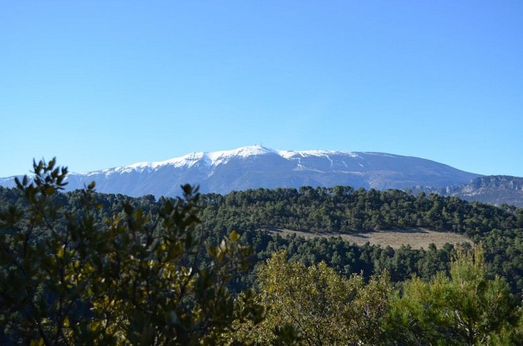 Le Mont-Ventoux