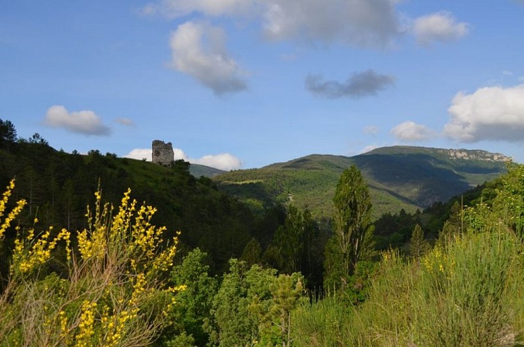 Les Ruines du vieux Verclause