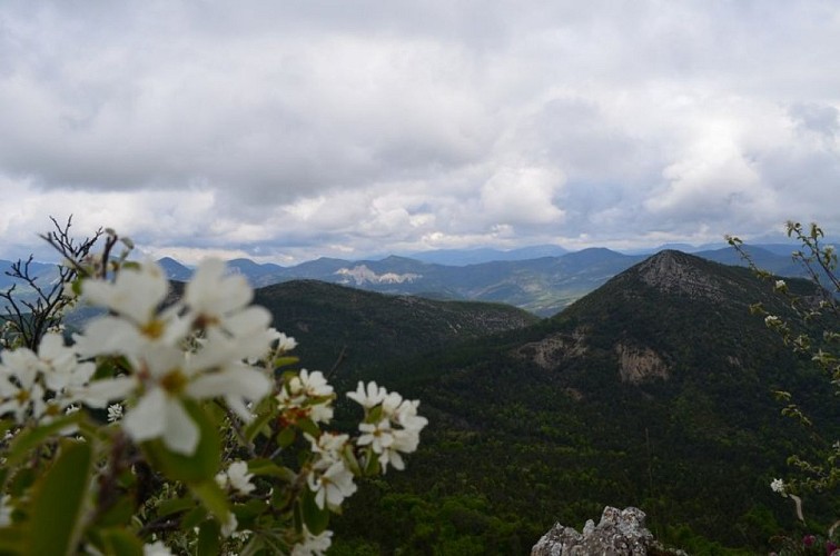 Point de depuis le Col Saint-Ange