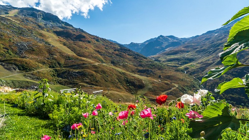 La Chasse_Les Menuires