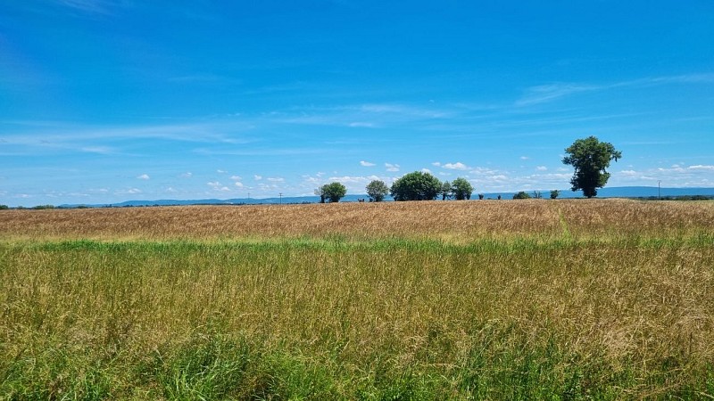 Circuit VTTAE n°13 (rouge) - Les chemins de St Jean