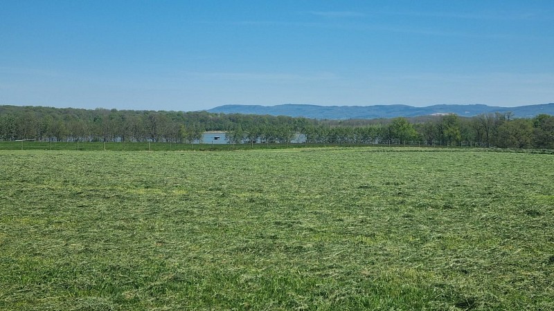 Circuit VTTAE n°14 (rouge) - Hauts de la vallée de la Reyssouze