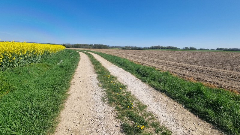 Circuit VTTAE n°14 (rouge) - Hauts de la vallée de la Reyssouze