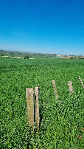 Circuit VTT-VTC n°14 (rouge)_Hauts de la vallée de la Reyssouze