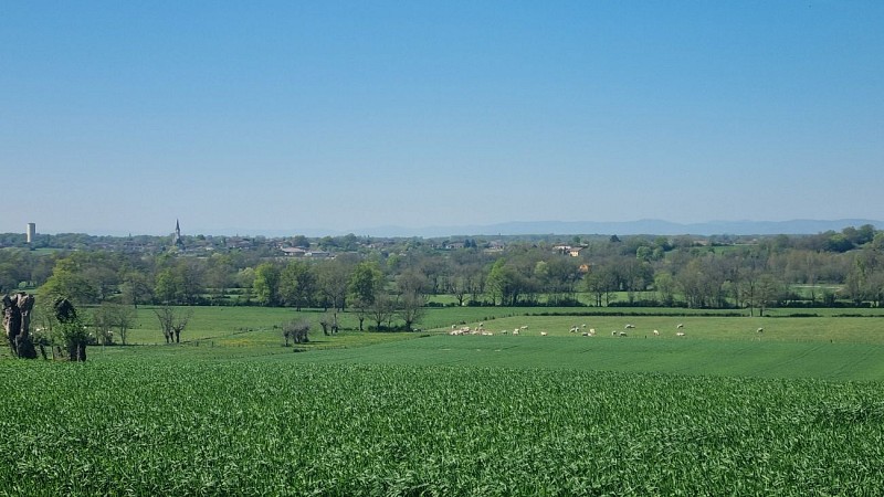 Circuit VTTAE n°14 (rouge) - Hauts de la vallée de la Reyssouze