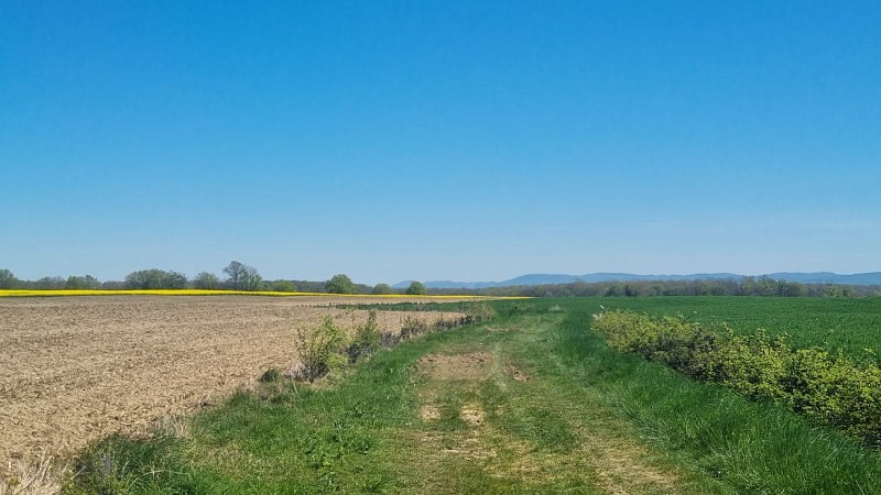 Circuit Gravel n°14 (rouge) - Hauts de la vallée de la Reyssouze