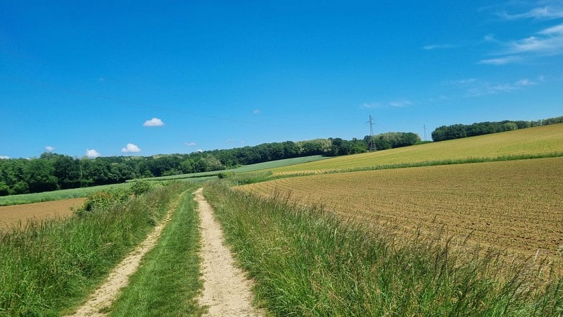 Circuit VTTAE n°27 (noir) - Les domaines de Bresse