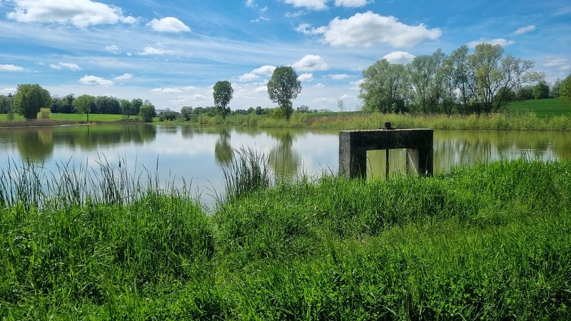 Circuit VTTAE n°27 (noir) - Les domaines de Bresse