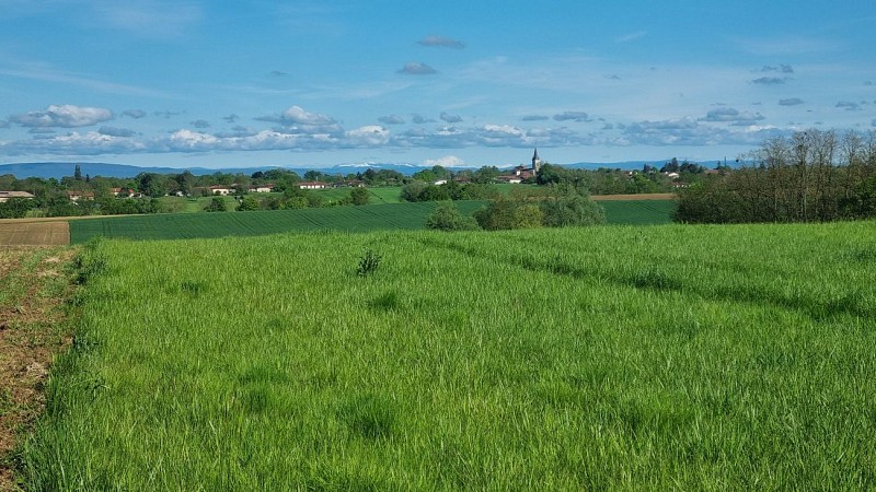 Circuit VTTAE n°27 (noir) - Les domaines de Bresse