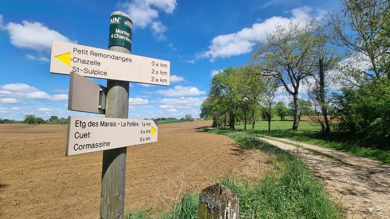 Circuit VTT-VTC n°27 (noir) - Les domaines de Bresse_Montrevel-en-Bresse