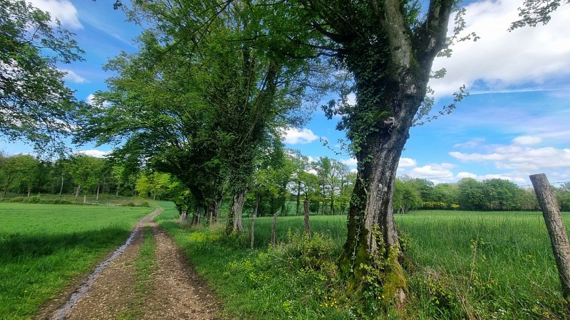 Circuit VTTAE n°27 (noir) - Les domaines de Bresse