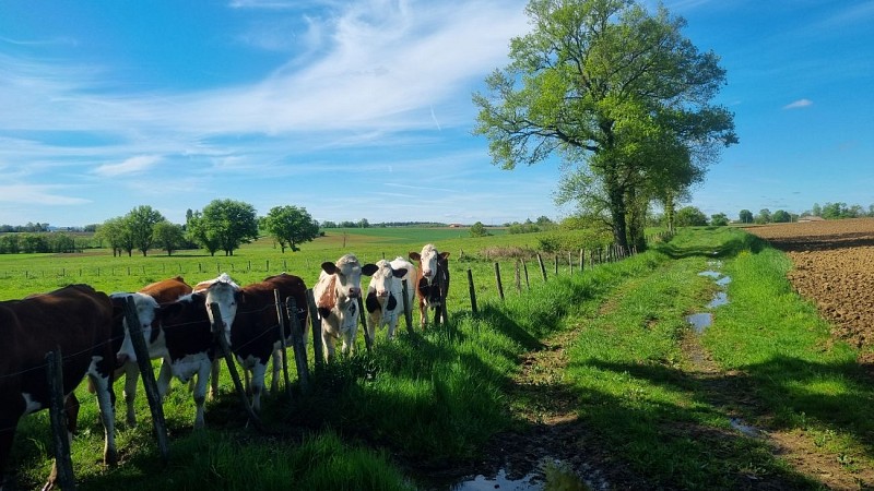 Circuit VTTAE n°27 (noir) - Les domaines de Bresse