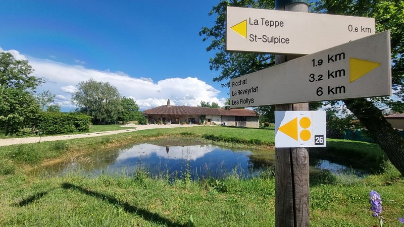 Circuit VTTAE n°26 (noir) - Tour de St Didier d'Aussiat