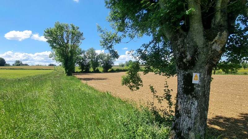 Circuit VTTAE n°26 (noir) - Tour de St Didier d'Aussiat